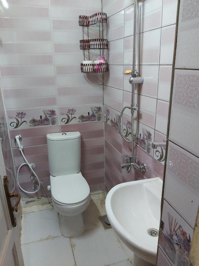 阿斯旺 Otasho Nile View House酒店 外观 照片